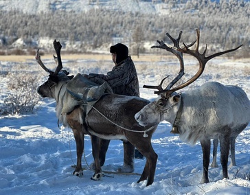Жизнь на стойбище
